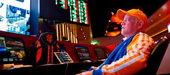 Официальный сайт Casino Wilder